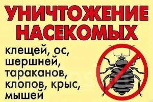 Уничтожение тараканов и клопов, муравьев. Дезинфекция и фумигация СПб Город Санкт-Петербург