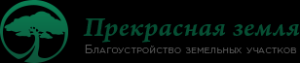 Прекрасная земля - Город Санкт-Петербург logo.png