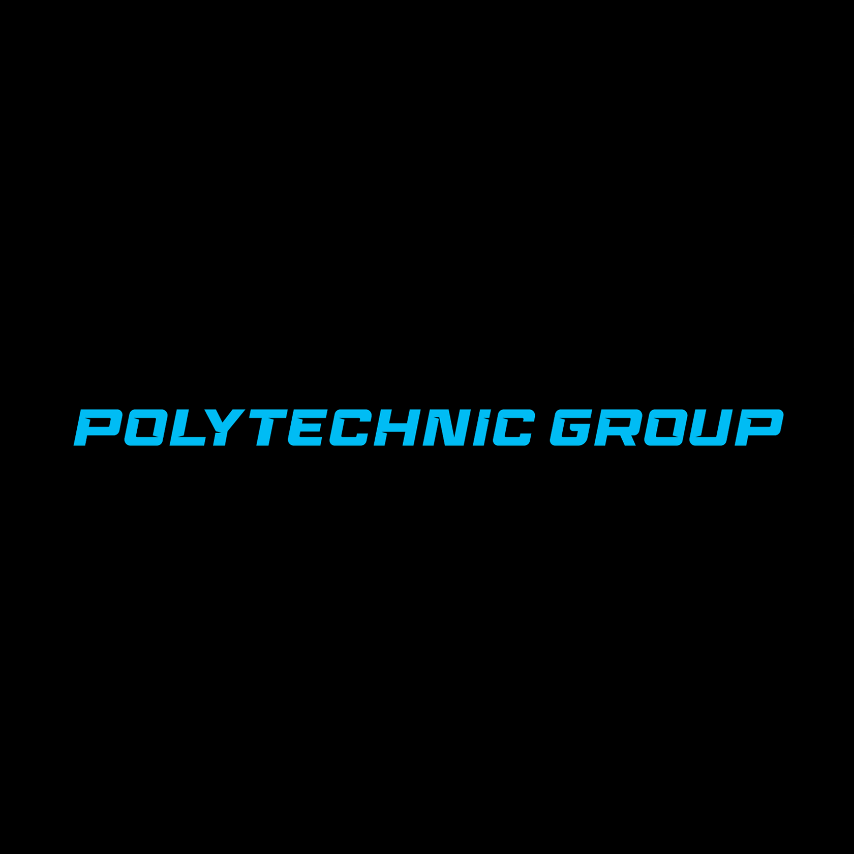 Политехник групп - Город Санкт-Петербург logo.png